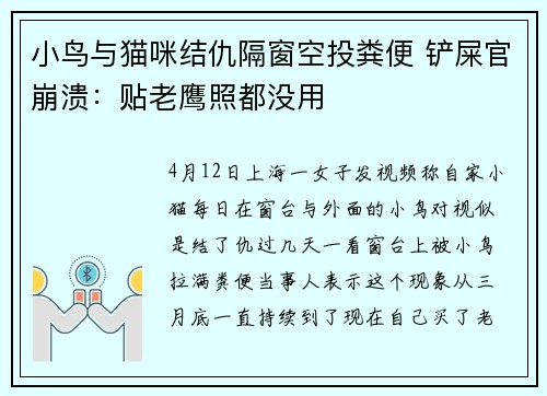 小鸟与猫咪结仇隔窗空投粪便 铲屎官崩溃：贴老鹰照都没用